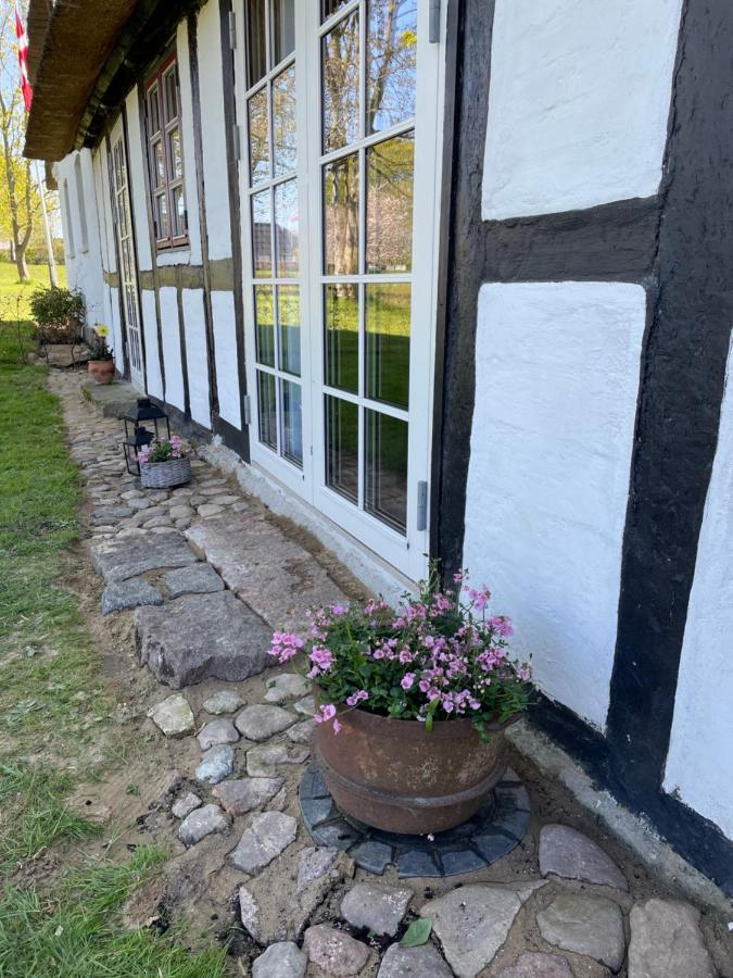 أودنسه Baekgaarden 3 Rooms Apartment - Old Farm House المظهر الخارجي الصورة
