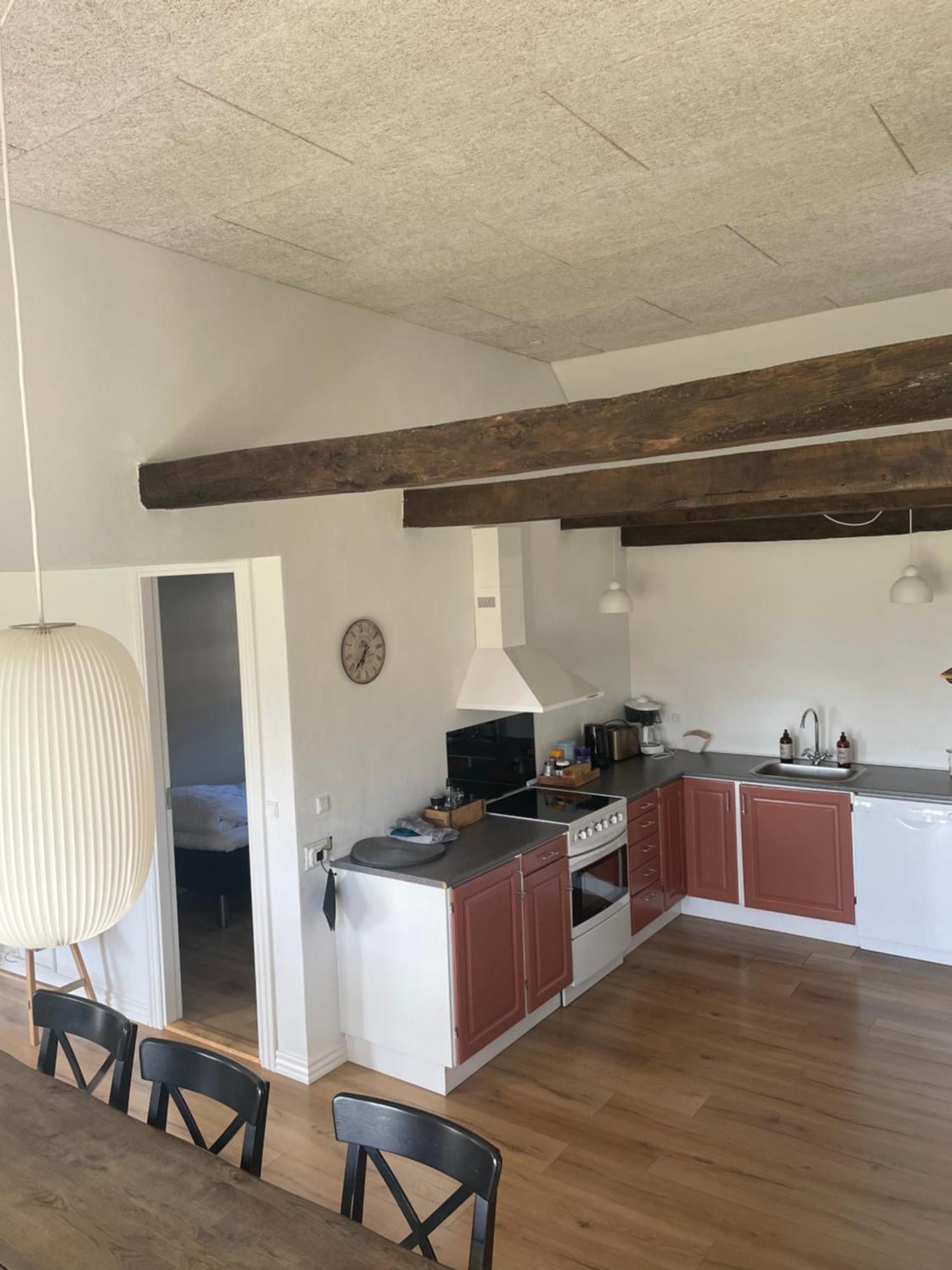 أودنسه Baekgaarden 3 Rooms Apartment - Old Farm House المظهر الخارجي الصورة